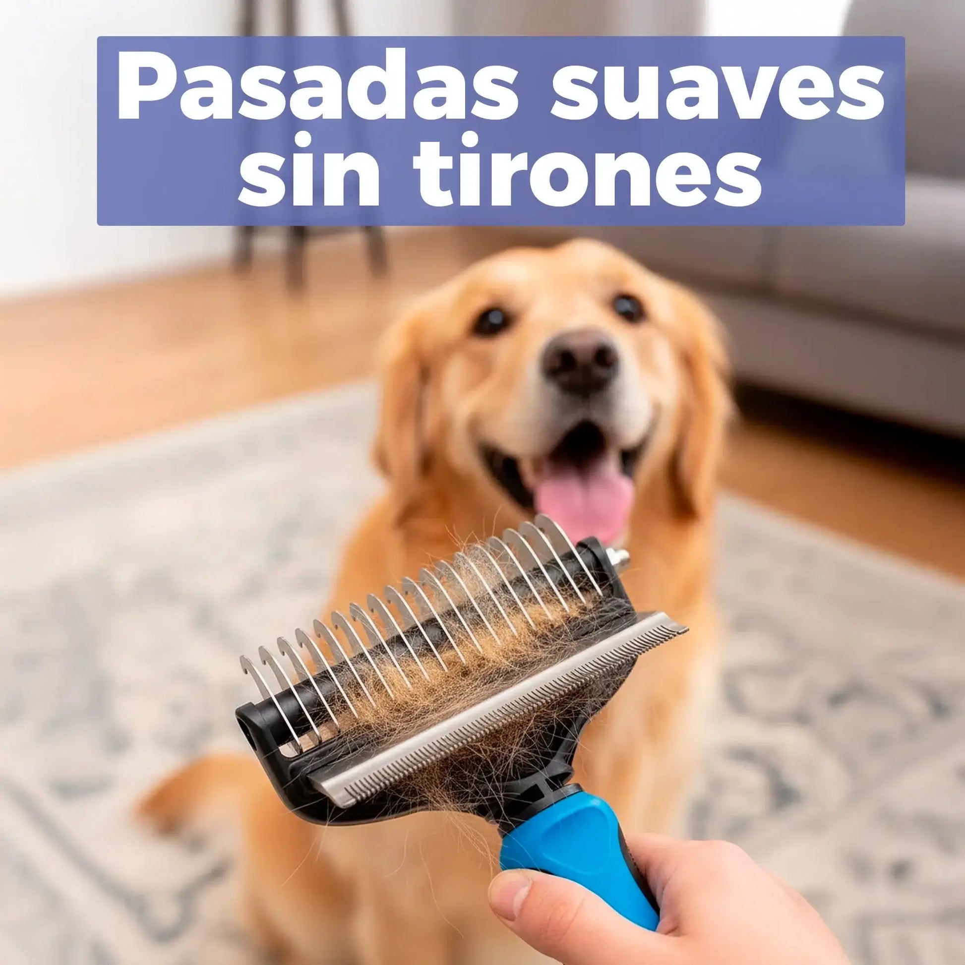 Cepillo deslanador en uso sobre golden retriever, pasadas suaves sin tirones